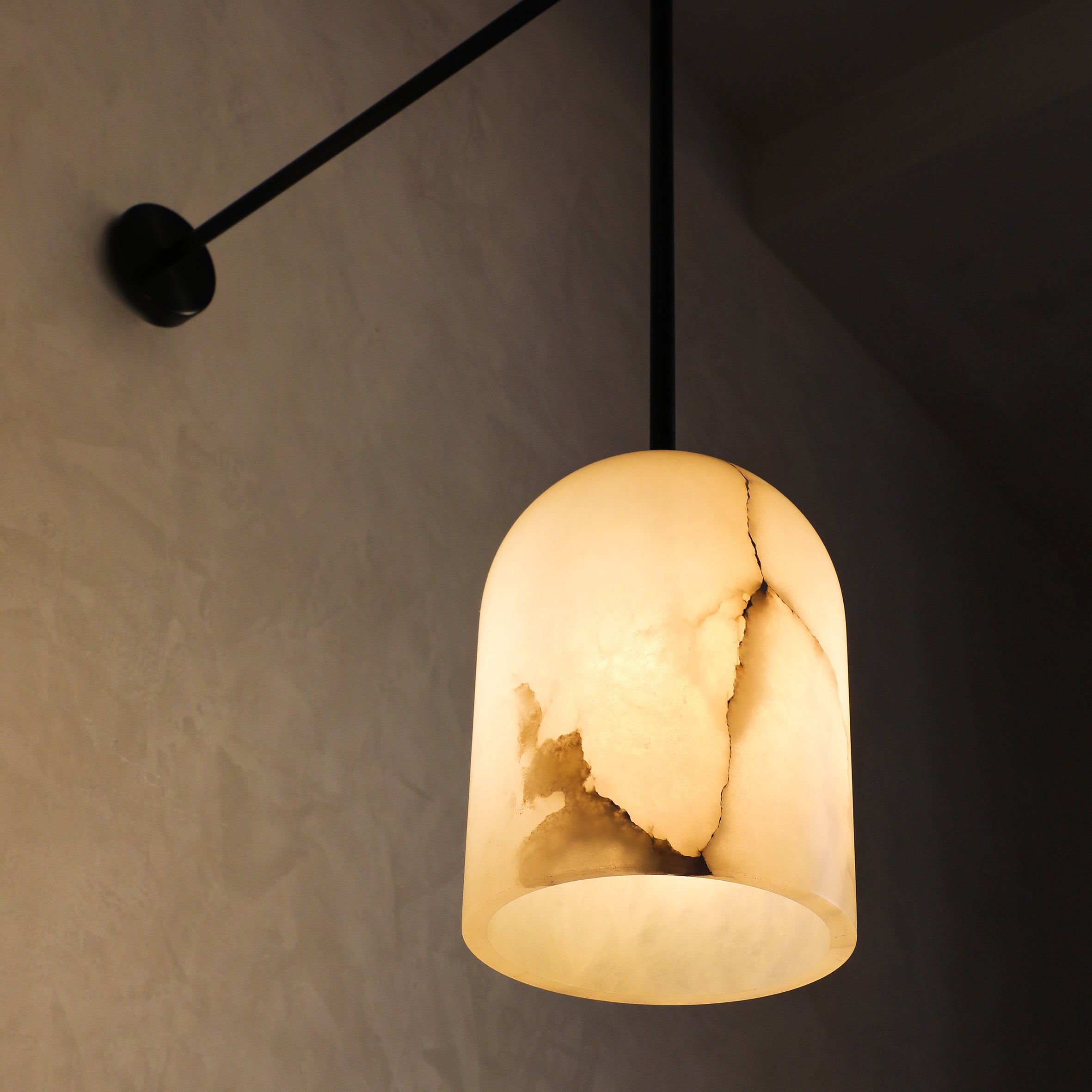 Belfry Arm Wall / Pendant Lamp